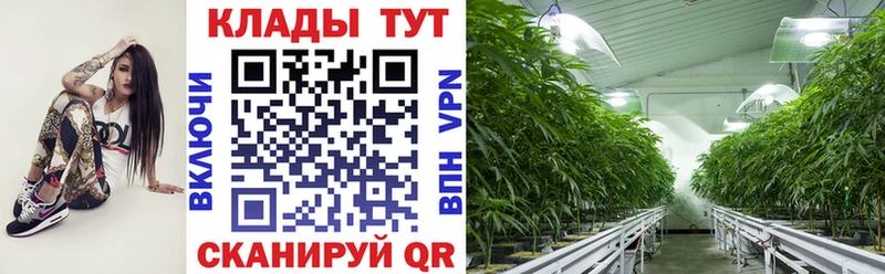 A-PVP Бакал