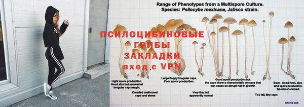 apvp Алексин