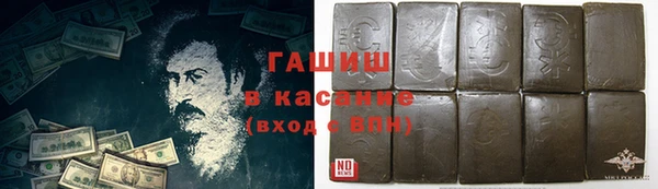 гидра Алексеевка