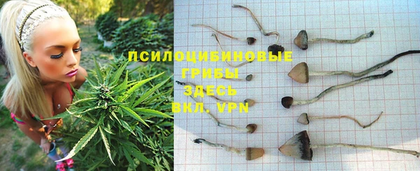 меф Алзамай